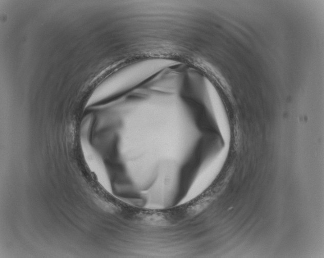 X0000080720113200701051044