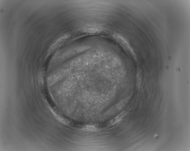 X0000080720114200701051044