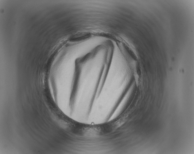 X0000080720115200701051044