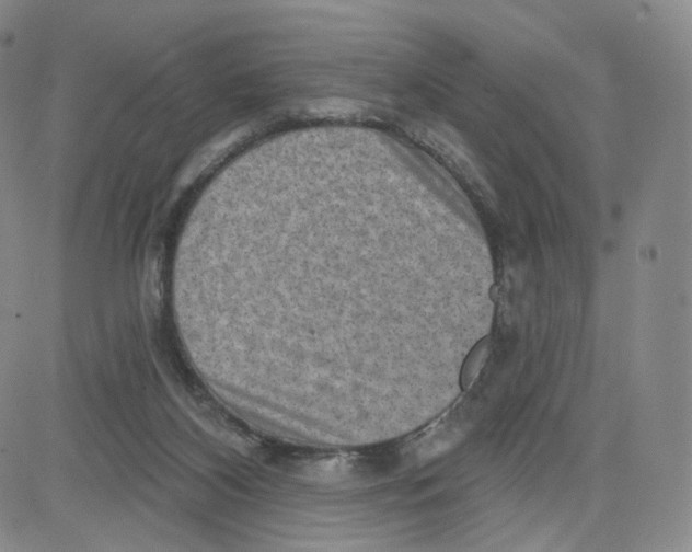 X0000080720116200701051044