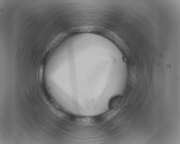 X0000080720118200701051044