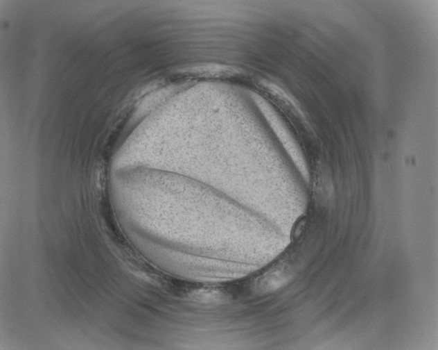 X0000080720119200701051044