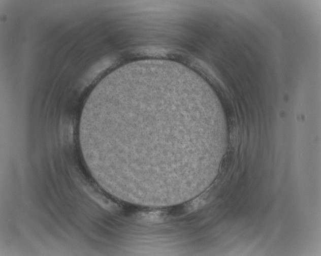 X0000080720120200701051044