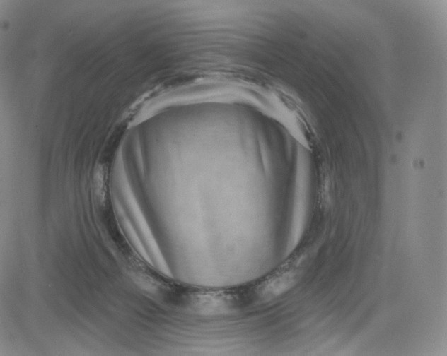 X0000080720121200701051044