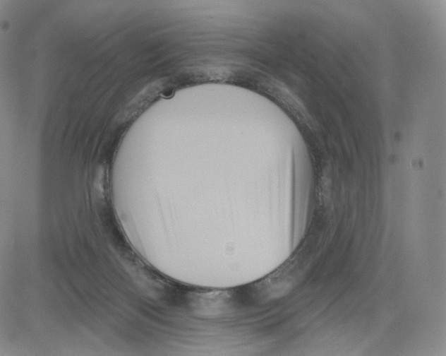 X0000080720122200701051044