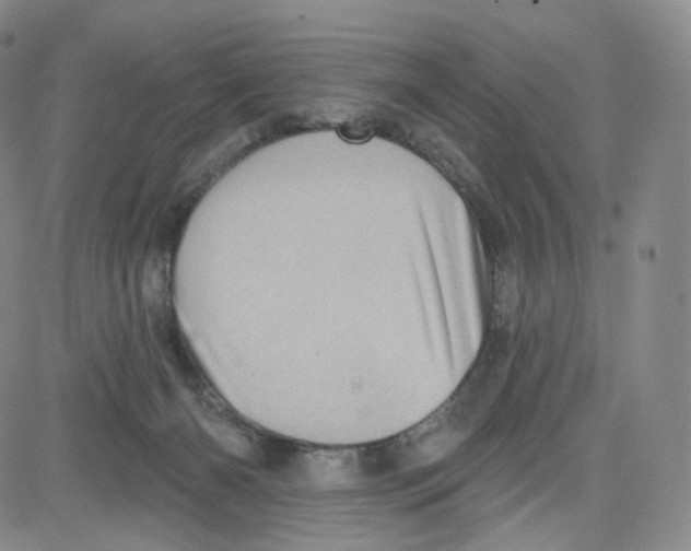 X0000080720126200701051044