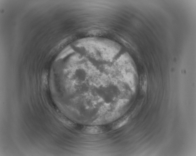 X0000080720127200701051044