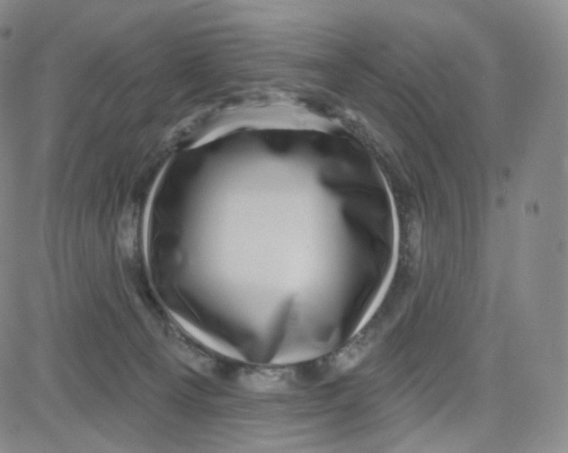 X0000080720129200701051044