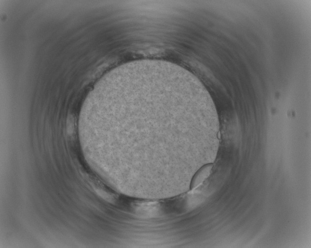 X0000080720132200701051043