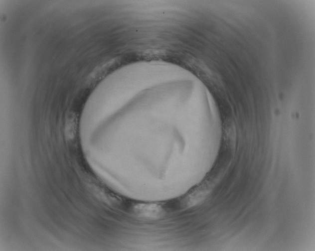 X0000080720133200701051043