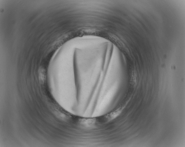 X0000080720135200701051043