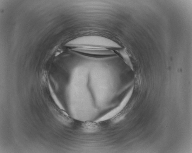 X0000080720141200701051043