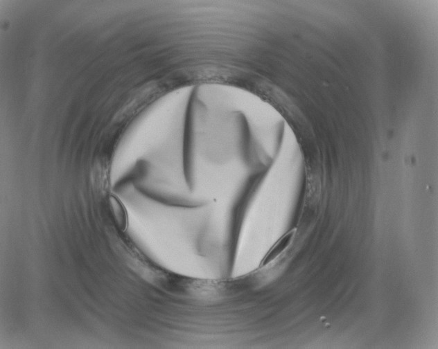 X0000080720142200701051043