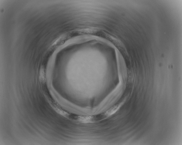 X0000080720143200701051043