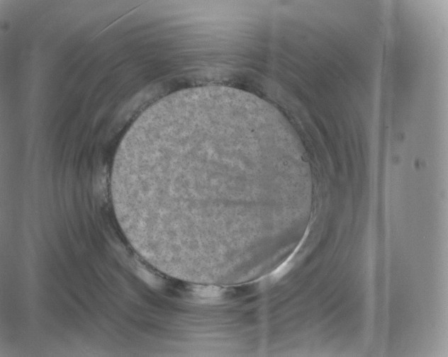 X0000080720144200701051043