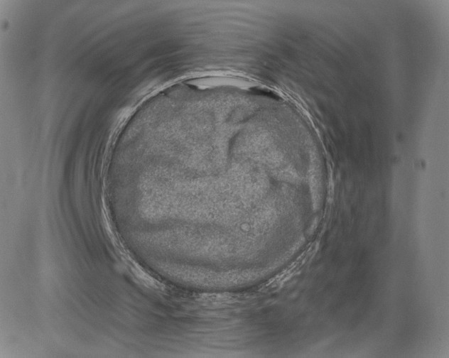 X0000080720145200701051043