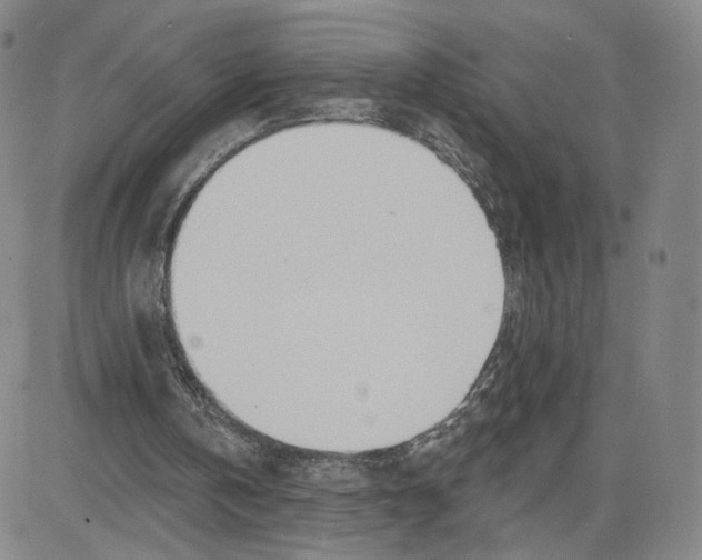 X0000080720146200701051043