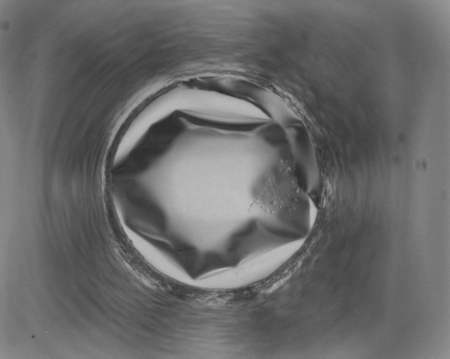 X0000080720148200701051043