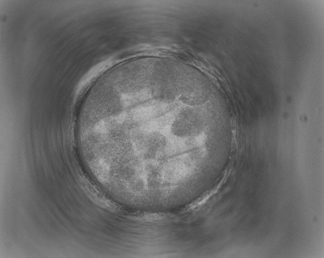 X0000080720149200701051043