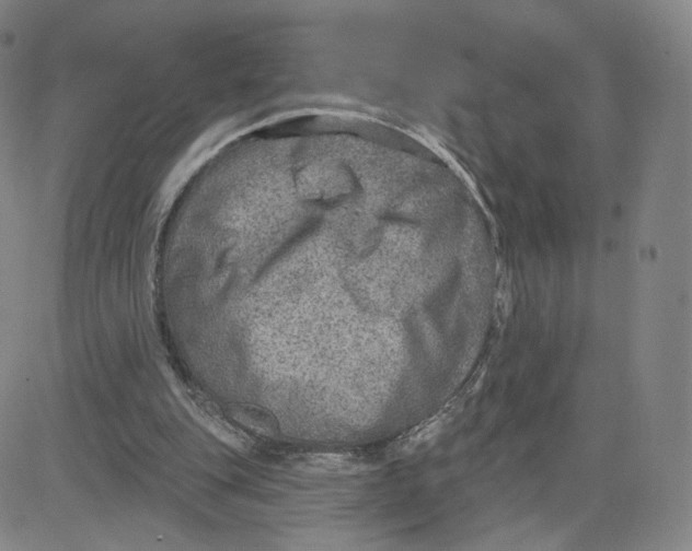 X0000080720151200701051043