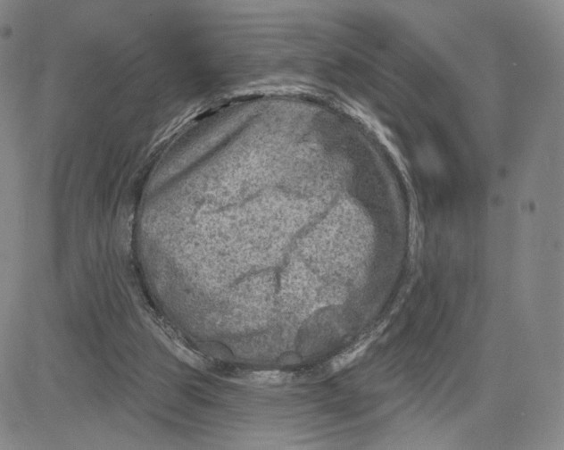 X0000080720153200701051043