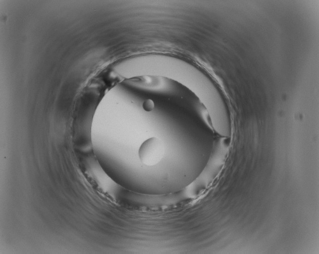 X0000080720154200701051043