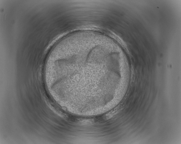 X0000080720155200701051043