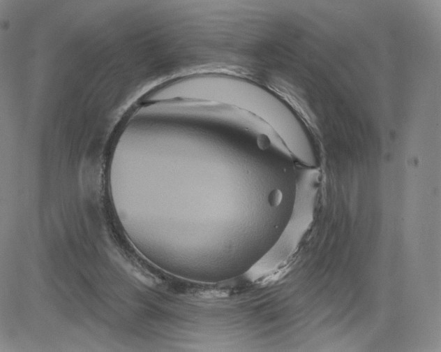 X0000080720156200701051043