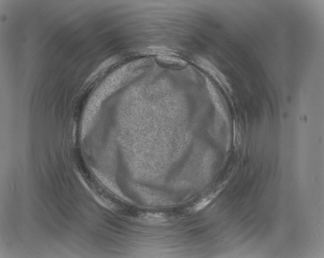 X0000080720157200701051043