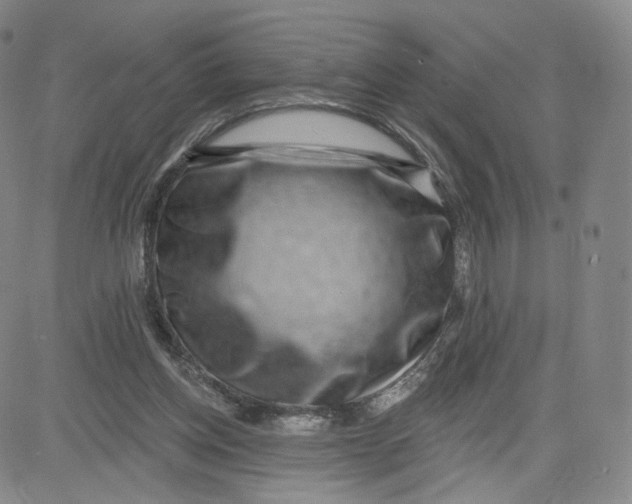 X0000080720158200701051043