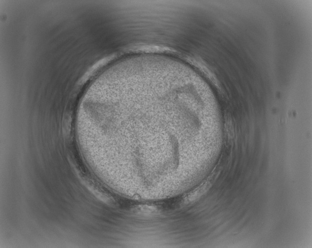 X0000080720159200701051043