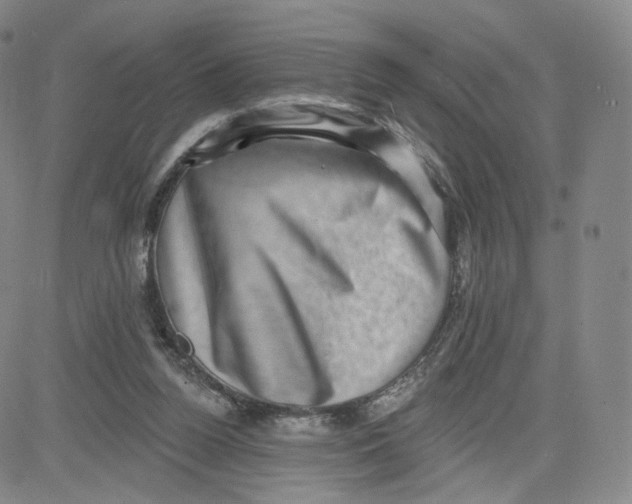 X0000080720160200701051043