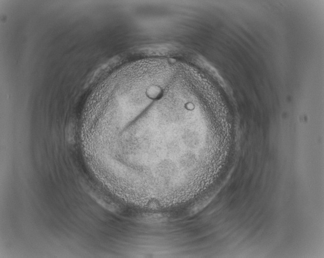 X0000080720161200701051043