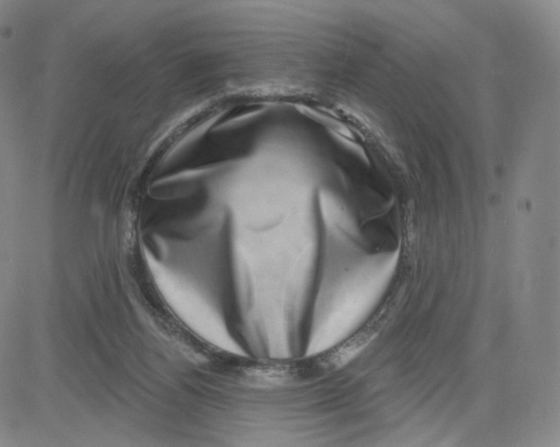 X0000080720164200701051043