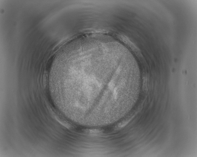 X0000080720165200701051043