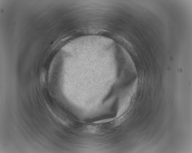 X0000080720166200701051043