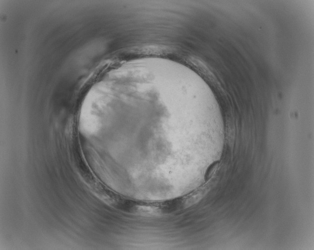 X0000080720167200701051043