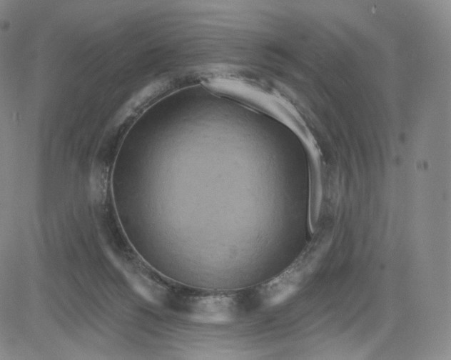 X0000080720168200701051043