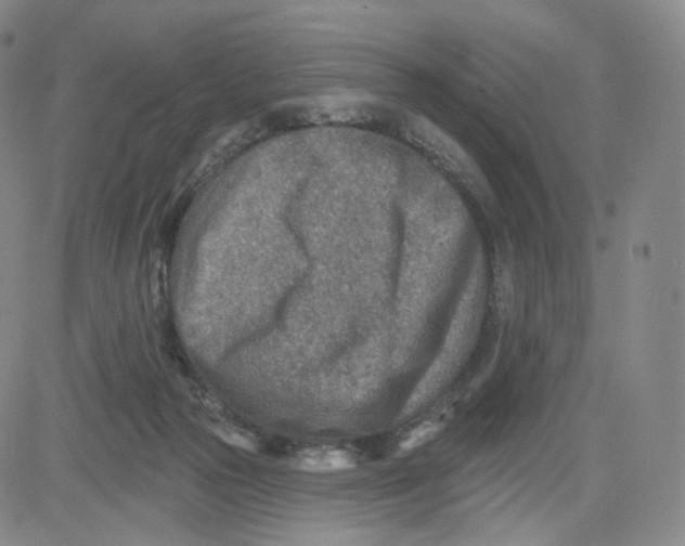 X0000080720169200701051043