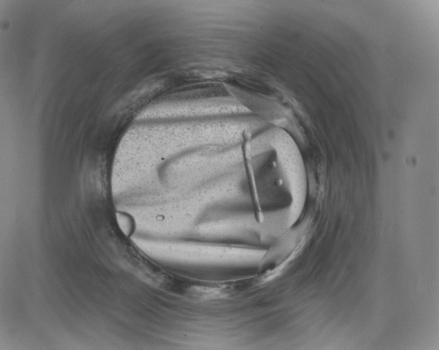 X0000080720170200701051043