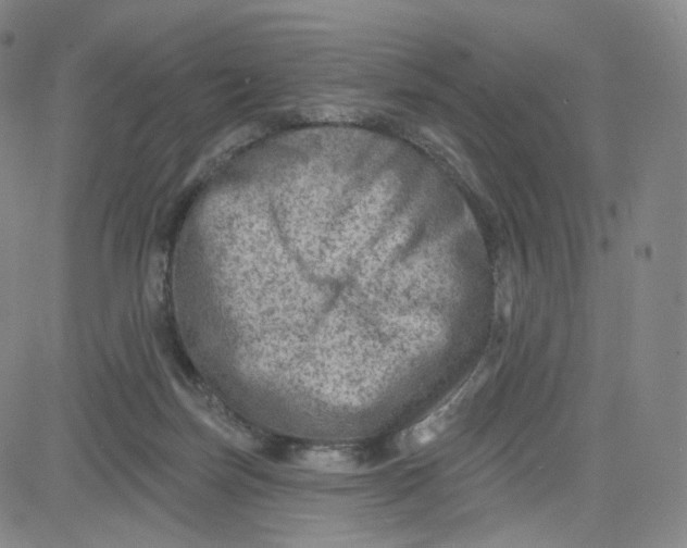 X0000080720171200701051043