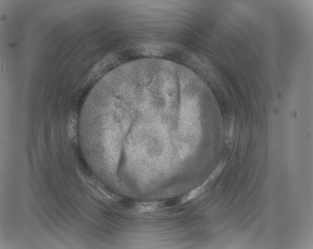 X0000080720175200701051043