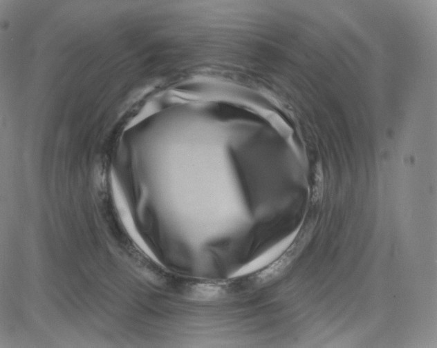 X0000080720176200701051043