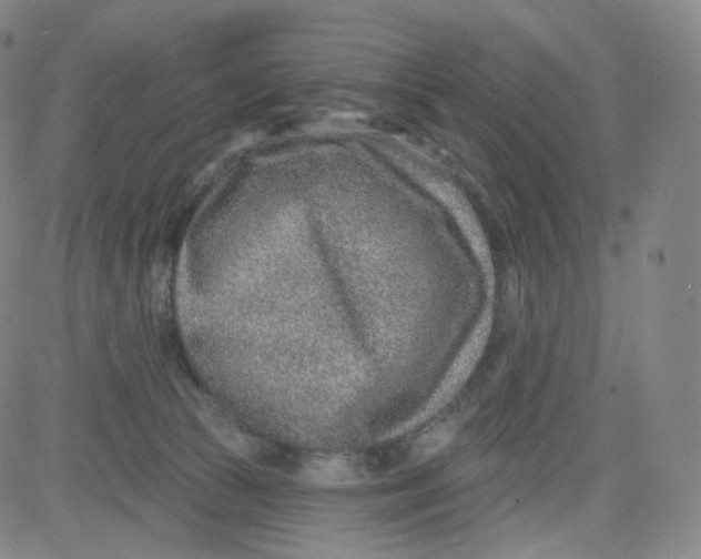 X0000080720177200701051043