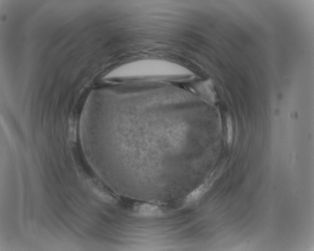 X0000080720180200701051043