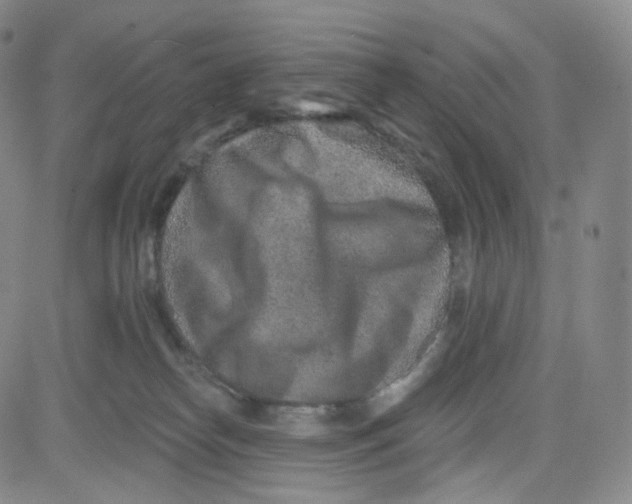 X0000080720182200701051043