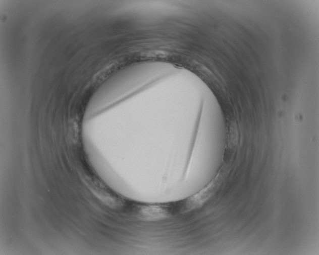 X0000080720183200701051043