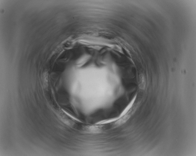 X0000080720184200701051043