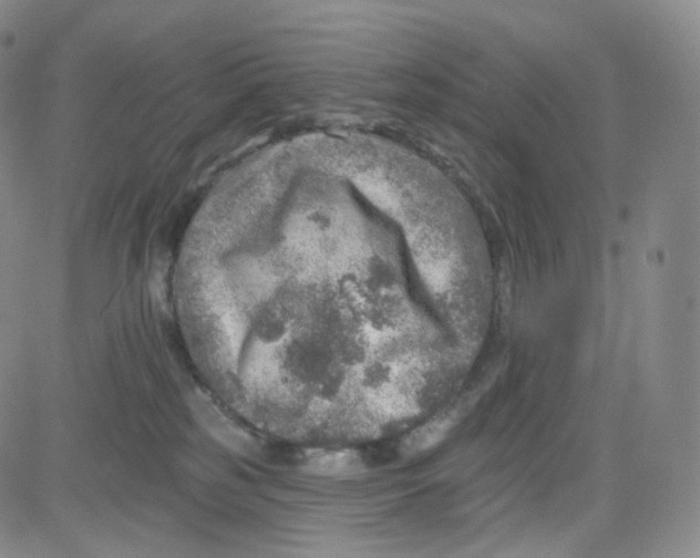 X0000080720185200701051043