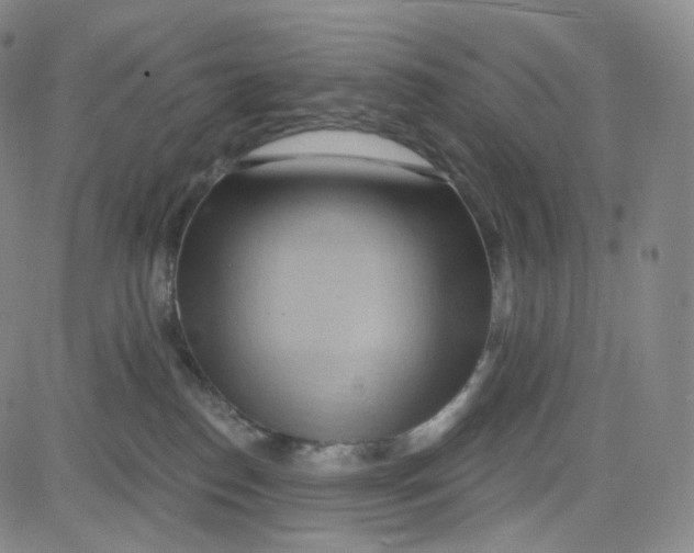 X0000080720186200701051043